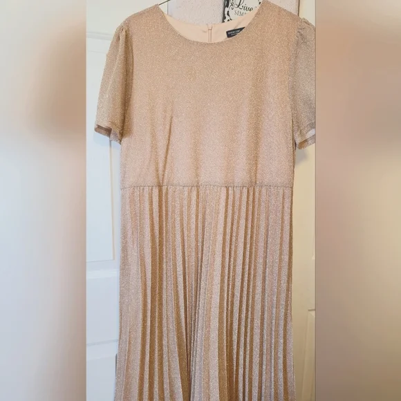 Plus size Glitter Pleated Dress Long 3XL - Picture 5 of 12